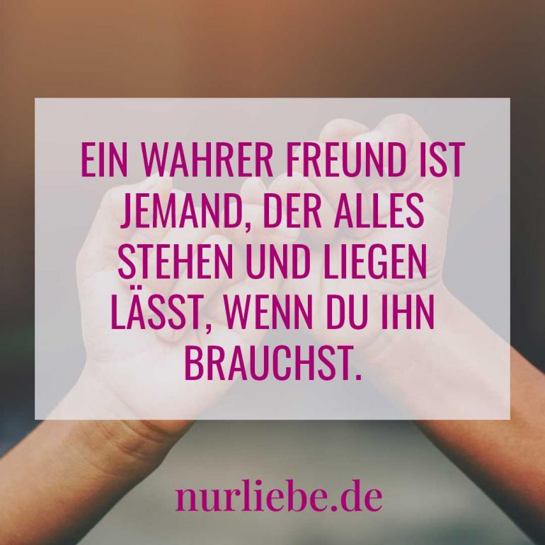 Bild zeigt Spruch über Freundschaft - Ein wahrer Freund ist jemand, der alles stehen und liegen lässt, wenn du ihn brauchst