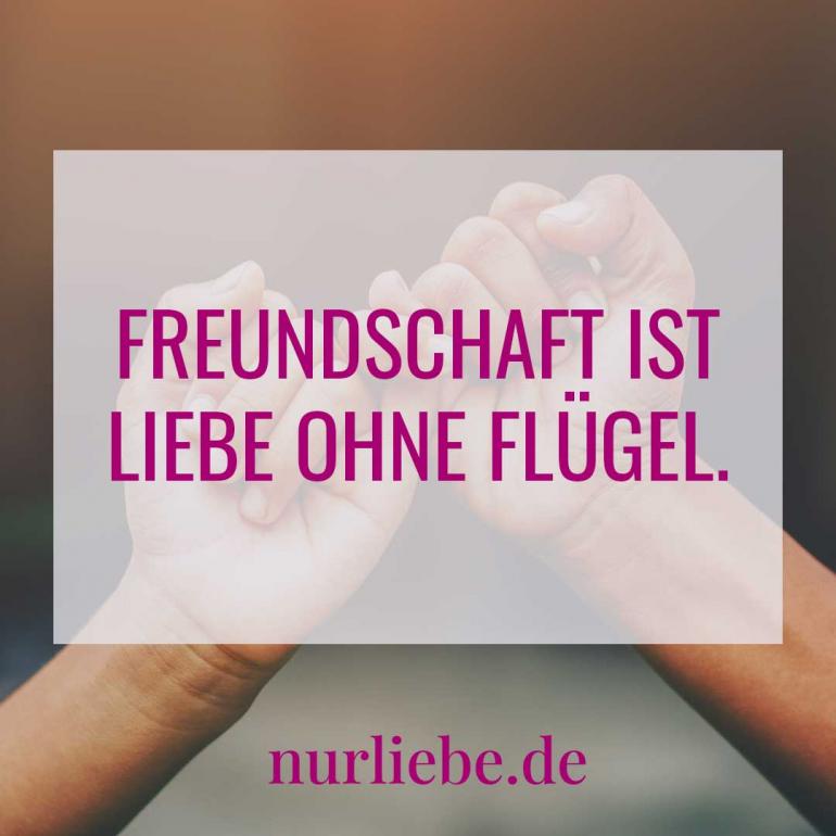 Bild zeigt Spruch über Freundschaft - Freundschaft ist Liebe ohne Flügel