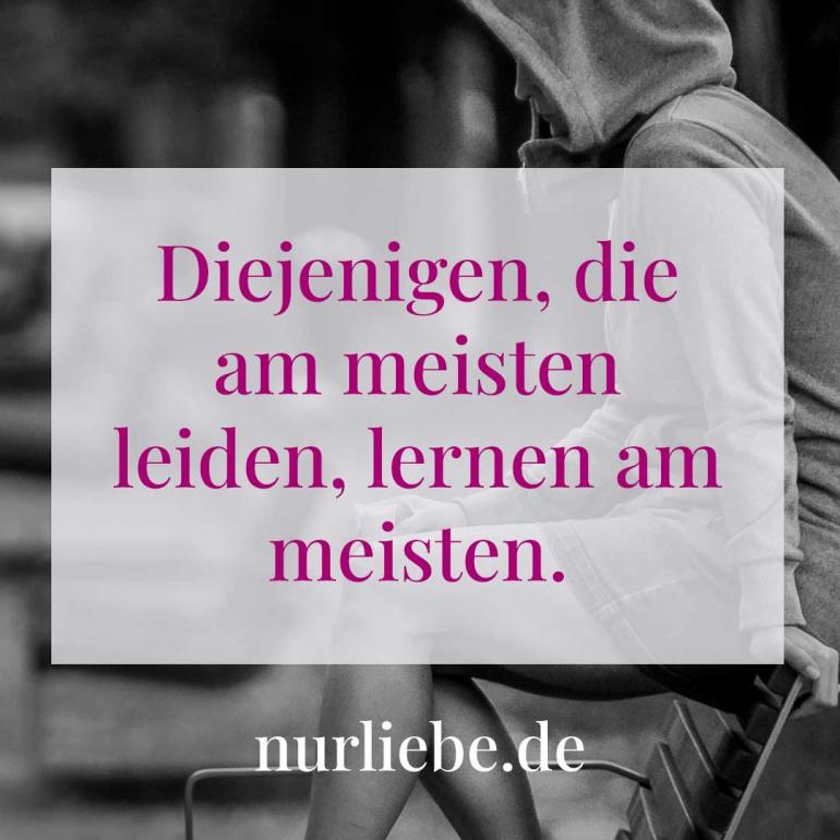 Liebeskummer Spruch Diejenigen, die am meisten leiden, lernen am meisten.